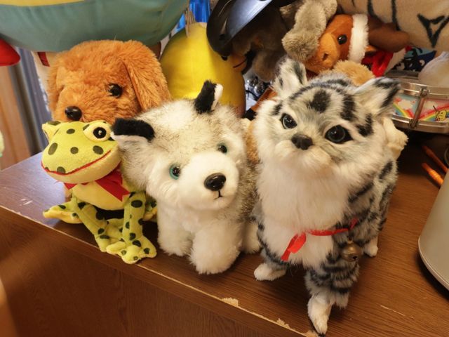 ぬいぐるみが並んだ棚 ぬいぐるみ 温かみのある空間に並べられたぬいぐるみたちは、ご入居の方々の憩いのひとときを彩ります。