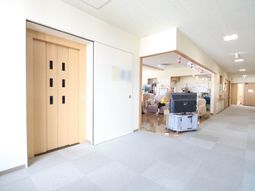 明るい廊下とリビング