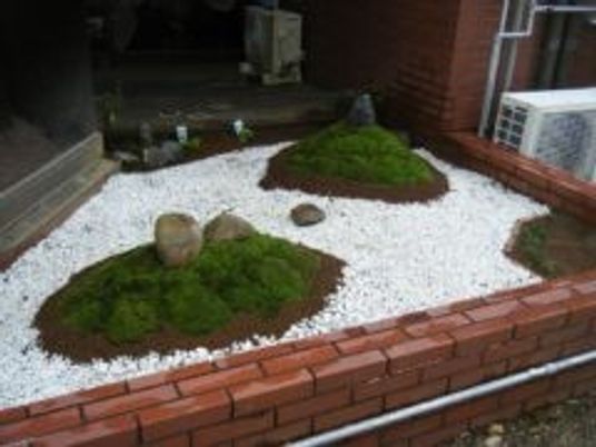 中庭の植栽  