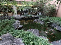 緑豊かな中庭風景