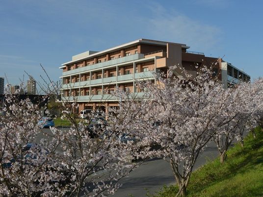 桜と建物の外観  