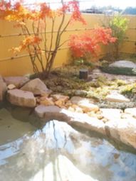 中庭の紅葉と水面