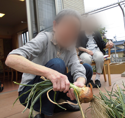 野菜収穫を楽しむ風景