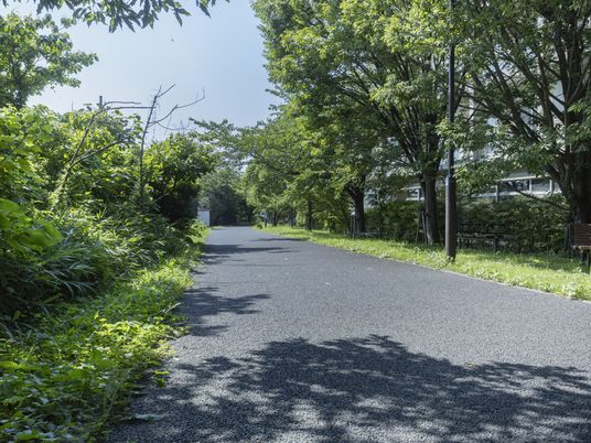 緑豊かな散歩道