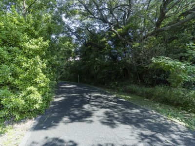 緑豊かな散策路