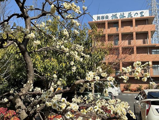 花咲く外観です  