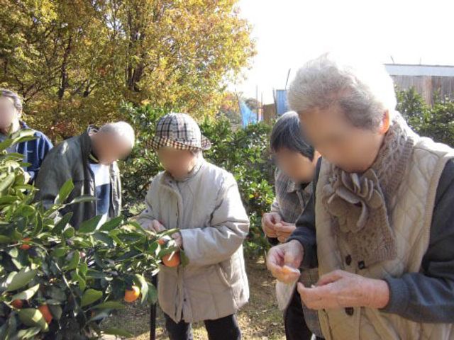居住者が庭で柑橘を収穫 イベント 明るい陽気の中、利用者が庭で柑橘を手に取り、楽しい時間を過ごしています。自然の恵みを身近に感じながら、みずみずしい果実を味わう穏やかな日常があります。