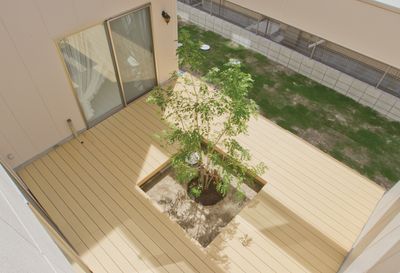 木がある中庭
