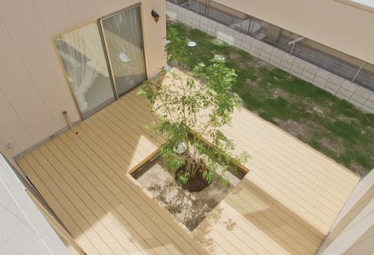 木がある中庭