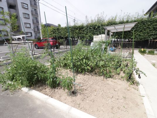 緑豊かな中庭