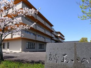 桜と建物の外観  