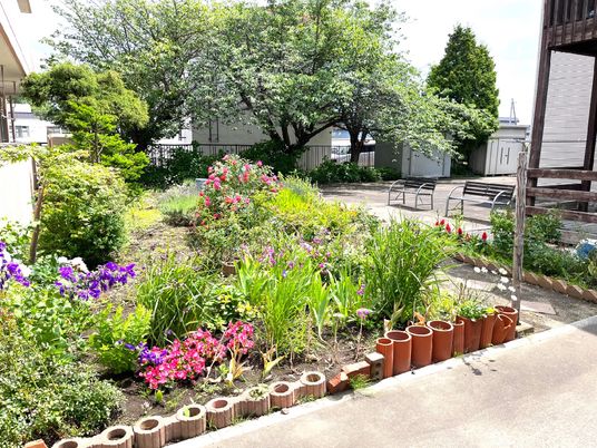色鮮やかな花と緑の庭