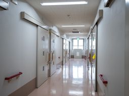 明るい廊下の様子