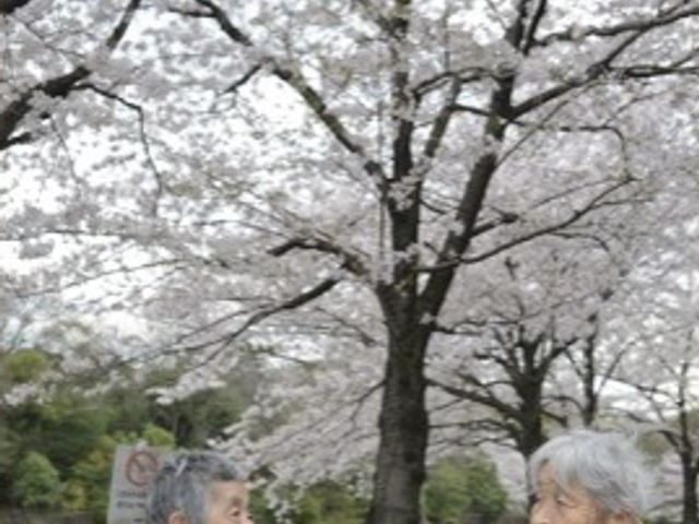 桜の下で会話する人々 レクリエーション 桜が咲く心地よい中庭で、利用者同士が楽しげな会話を交わしています。春の訪れを感じながら、穏やかなひとときを過ごすことができます。