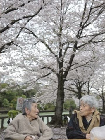 桜の下で会話する人々