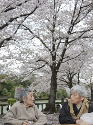 桜の下で会話する人々