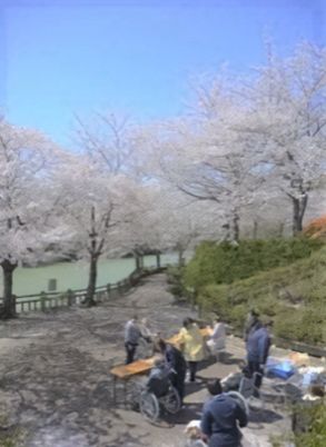 桜並木と利用者の中庭