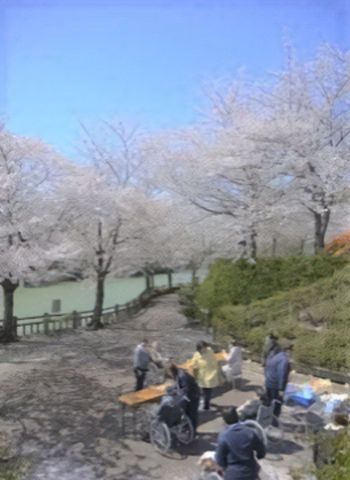 桜並木と利用者の中庭