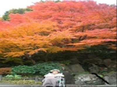 紅葉と車椅子の人