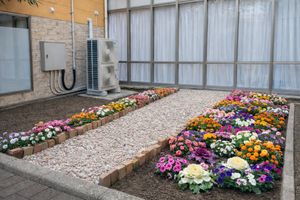 色鮮やかな花壇のある庭
