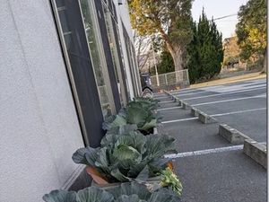建物横の駐車場