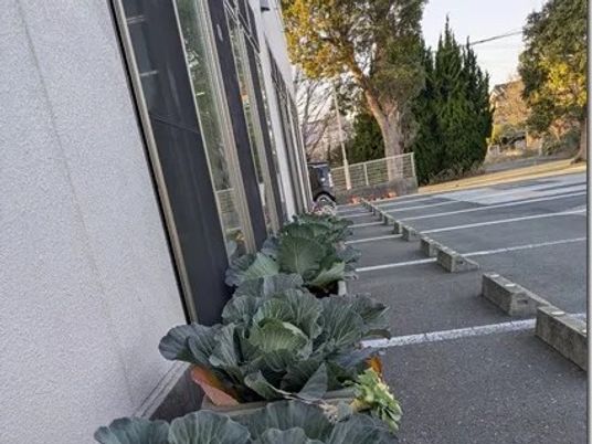 建物横の駐車場