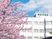 病院建物と桜の外観  