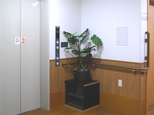 安心できる廊下 廊下   温かみのある木目調の手すり付きで、安全に移動しやすい設計です。植物が癒しを提供します。