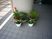 鉢植えのある玄関前  