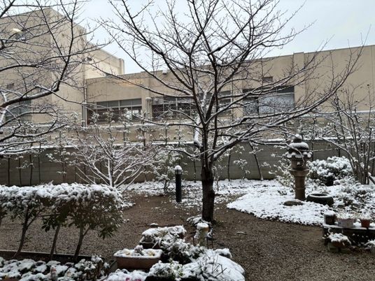 雪の庭  