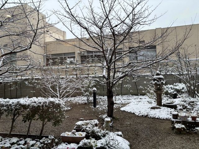 雪の庭 庭   雪がうっすら積もった庭に、木々や植え込みが見えます。季節感のある落ち着いた環境で、気分転換もしやすそうです。
