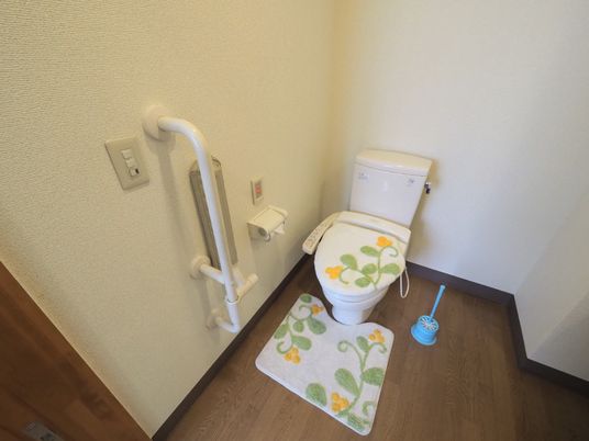 手すり付き清潔なトイレ