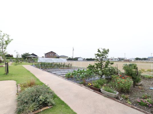中庭の緑豊かな景色