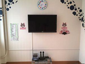 テレビのある壁面リビング  