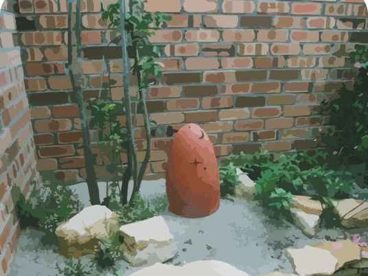 中庭の植栽  