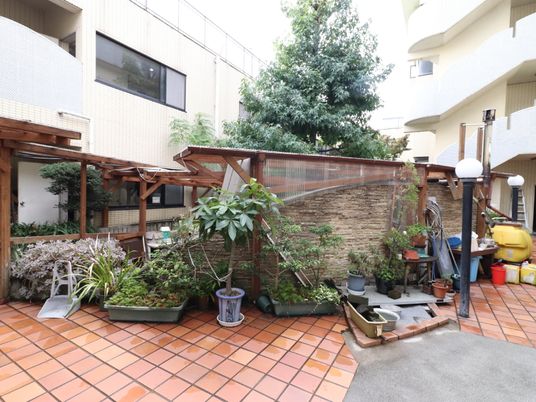 中庭の緑とベンチ