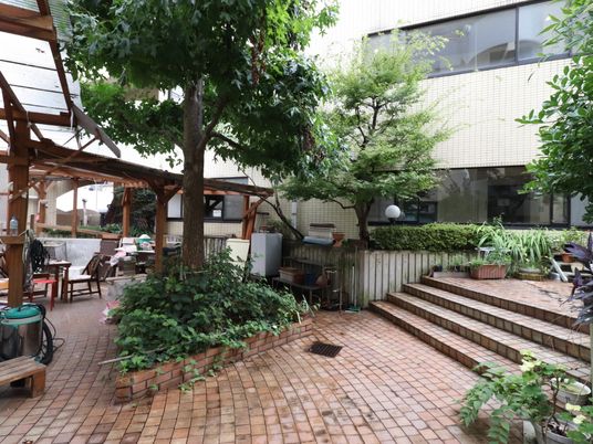 緑豊かな中庭の風景