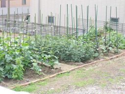 緑の庭園と歩く人