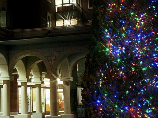 照明とイルミネーションのエントランス