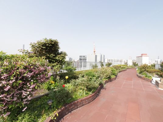  緑豊かな屋上庭園  