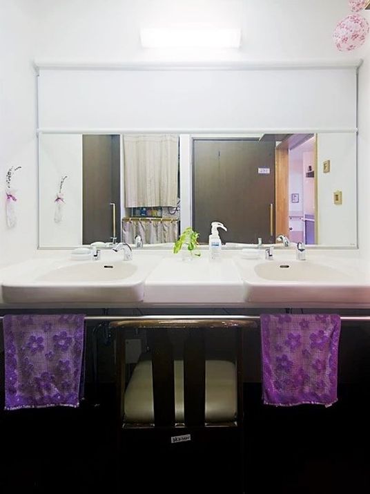 洗面所には大きな鏡が付き、手前にタオル掛けを兼ねたポールもついている。