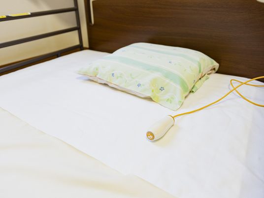 シンプルなベッドの居室