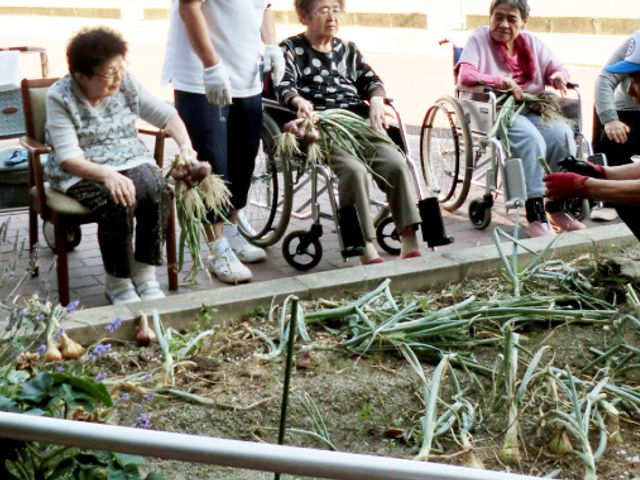 庭での活動 庭 利用者の方々が庭での活動を楽しむ光景です。車椅子でも参加しやすい設計になっています。