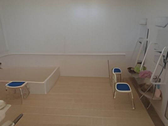 広々とした浴室