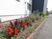 色とりどりの花が咲く施設外観