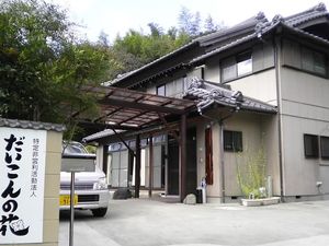 だいこんの花の外観  