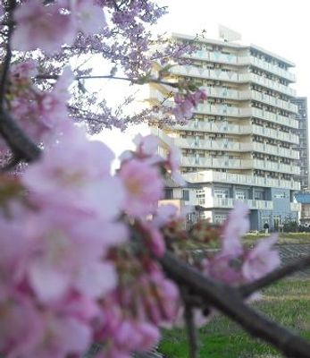 春の花と建物外観