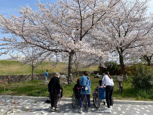 満開の桜の木と人々