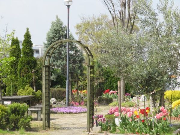 彩り豊かな植物の庭
