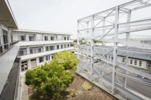 中庭と建物